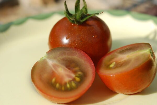 Tomate cerise Black Cherry – Image 3
